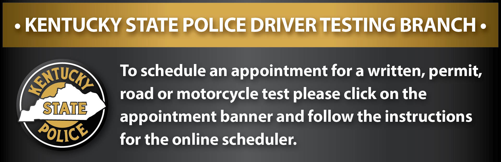 Driver Licensing Testing Scheduling & Appointments 1 NEW